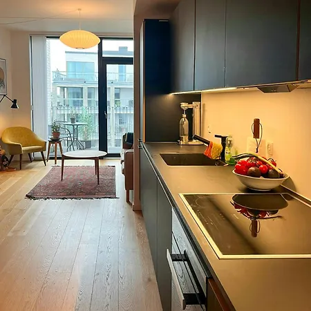 Appartement Penthouse With Two Balconies Near Vesterbro *