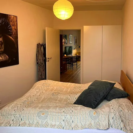 Penthouse With Two Balconies Near Vesterbro Copenhague